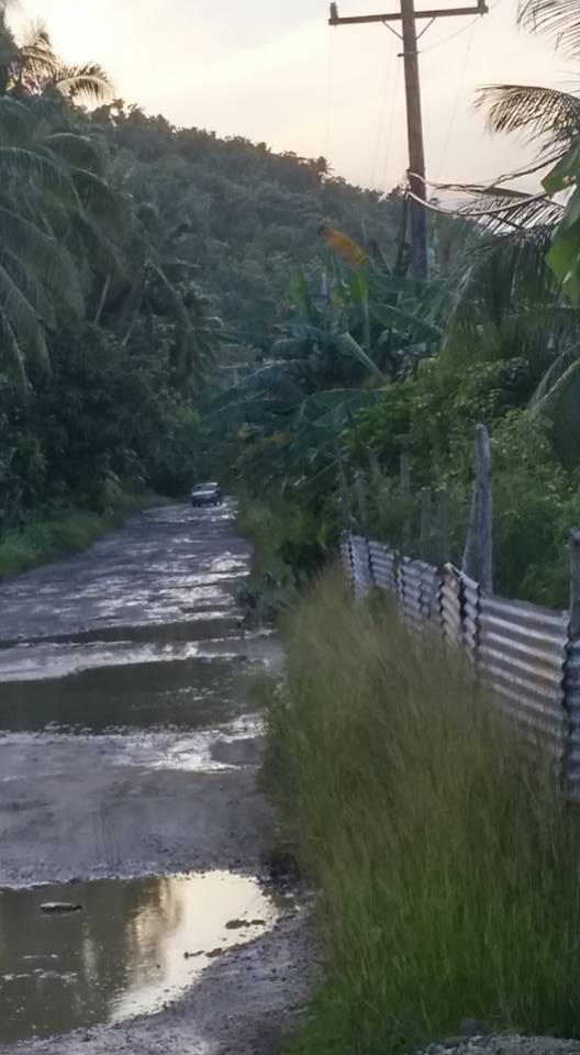 484815_10154437209450616_7697809114619808965_n